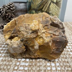 Natural Petrified Wood Uv reactive large piece